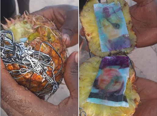 Shocker as a man found Photo of a woman and man inside Pineaple washed ashore -[PHOTO]