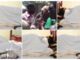 Shocker As a Man Gets Stuck on a Married Woman While a Snake Appeared to Watch Over Them; Video Goes VIRAL -[WATCH VIDEO]