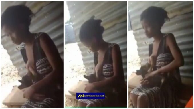 Wonders As as Lady Caught Br£astfeeding A Dog; Set Internet On Fire -[WATCH VIDEO]