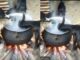 download 2021 07 27T013458.141 Shocker As Goats Spotted Eating From a Boiling Cooking Pot Still On Fire; Causes Massive Stir -WATCH