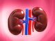 kidney 6 Signs That Show Your Kidney is Not Working Properly; Take Note and Don't Die Early