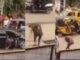 mad man Very Sad As Handsome Boy Runs Mad On The Streets After Going For Juju Money -WATCH VIDEO